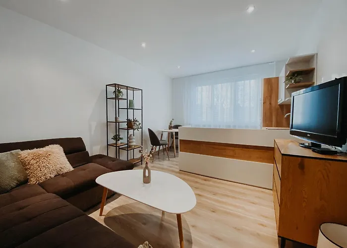 Apartman Juzna Trieda